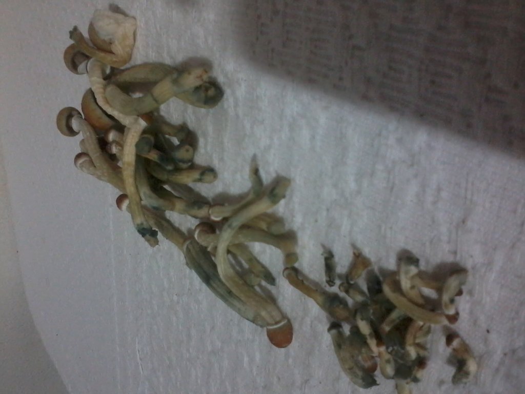 2014-02-18 00.37.11.jpg