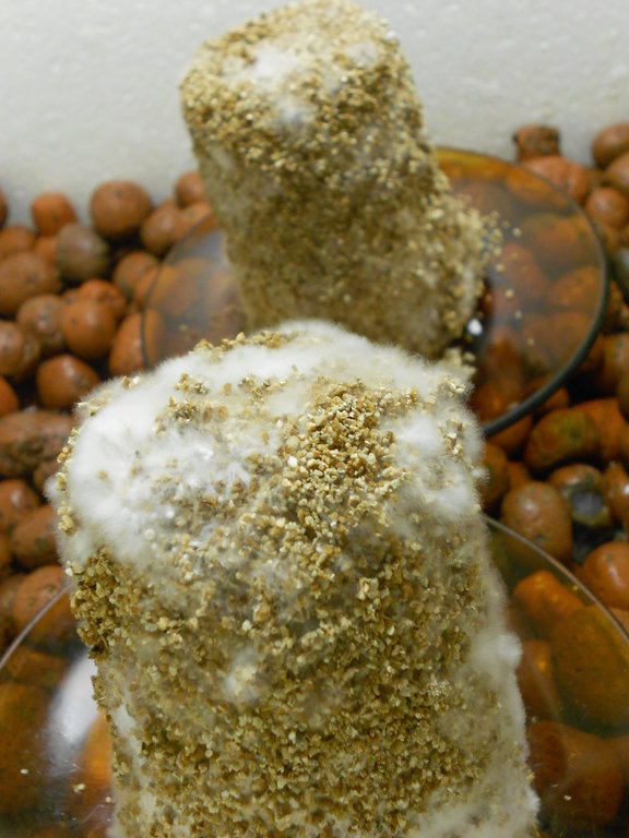 2014-02-20 16.23.23.jpg