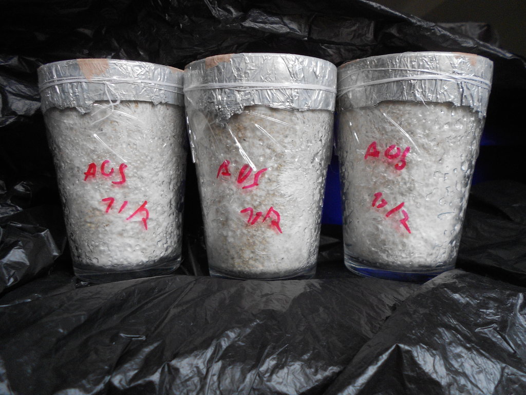 2014-03-01 12.23.24.jpg