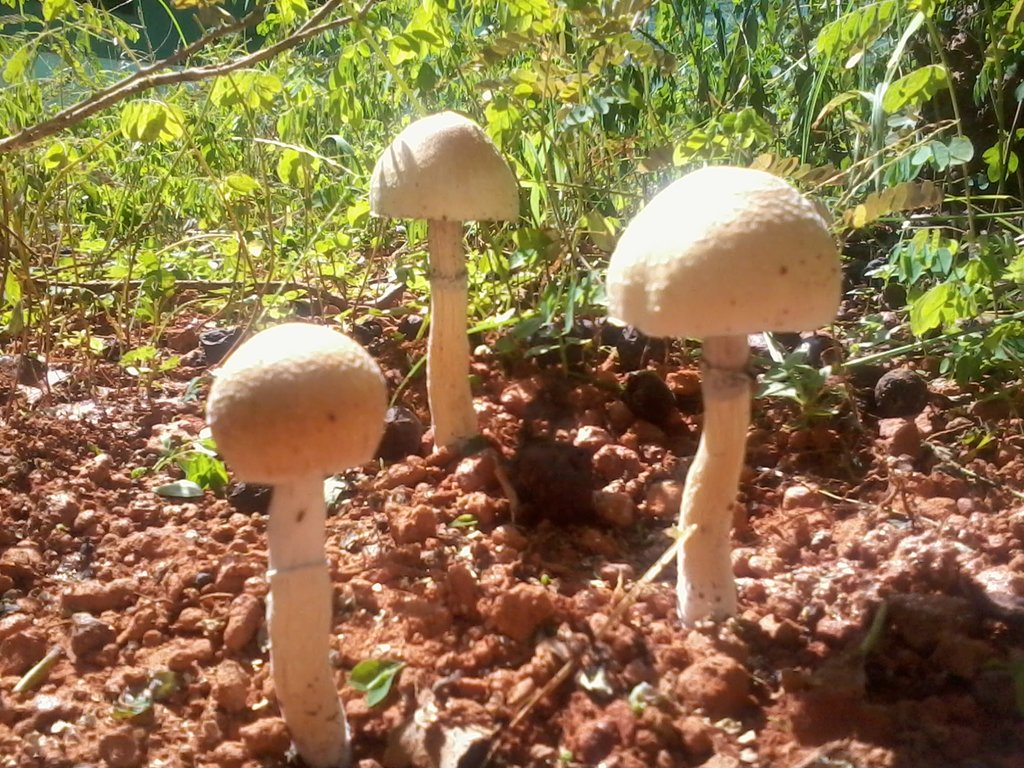 2014-03-04 14.25.57.jpg