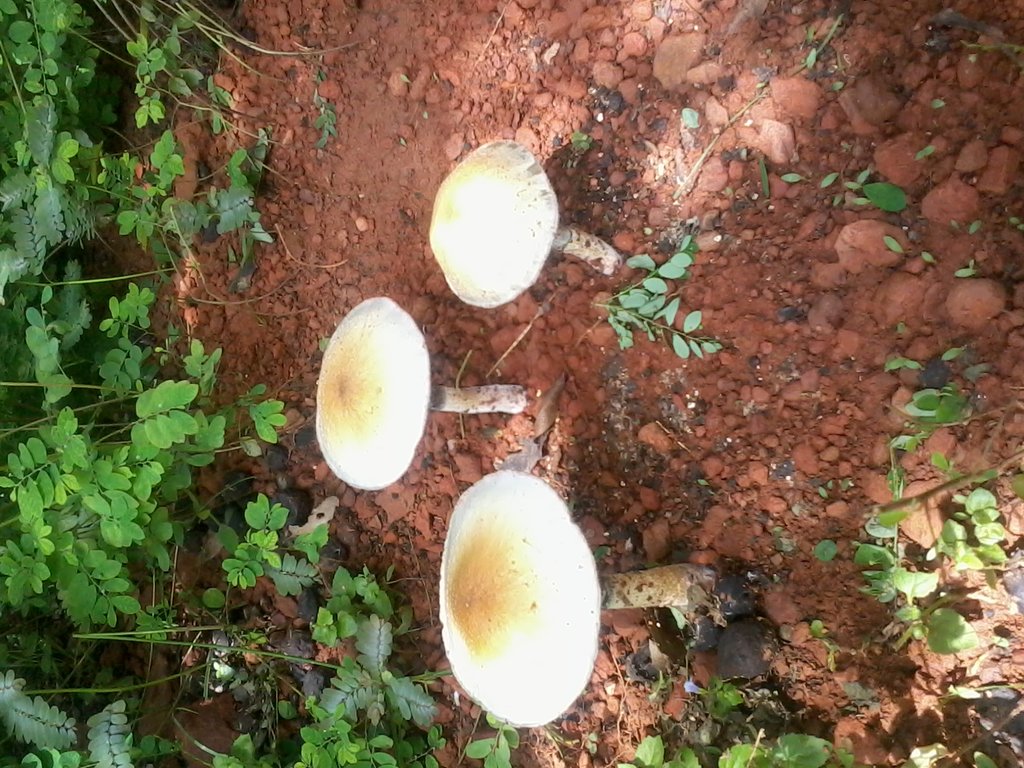 2014-03-05 13.14.26.jpg