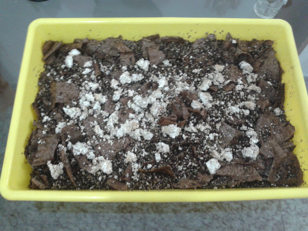 2014-03-07 13.16.45.jpg