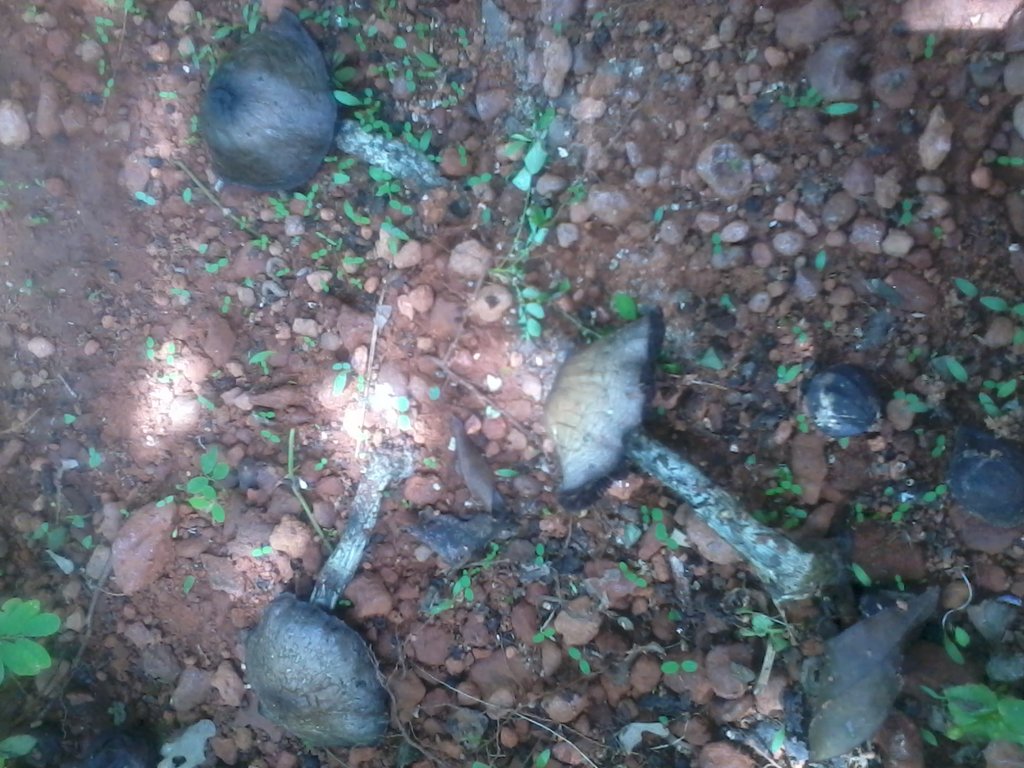 2014-03-08 13.00.41.jpg