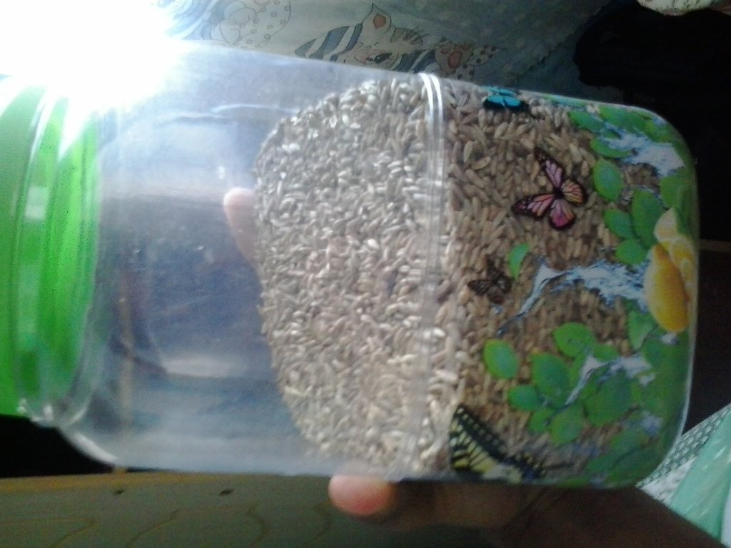 2014-03-22 10.18.51.jpg