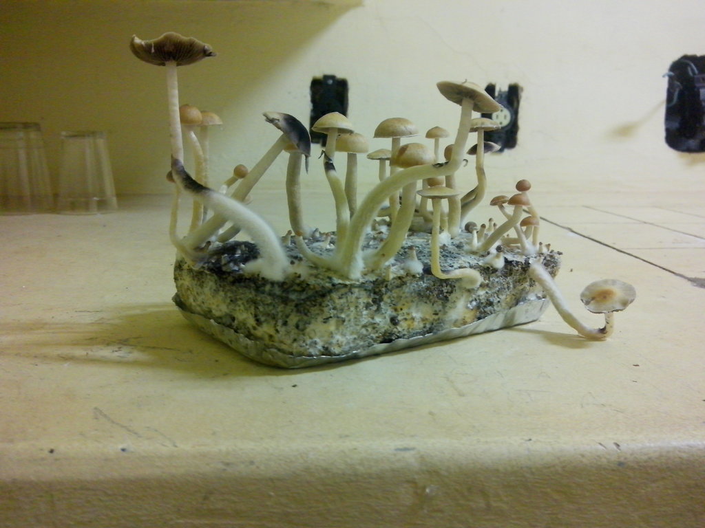 2014-03-23 22.09.18.jpg