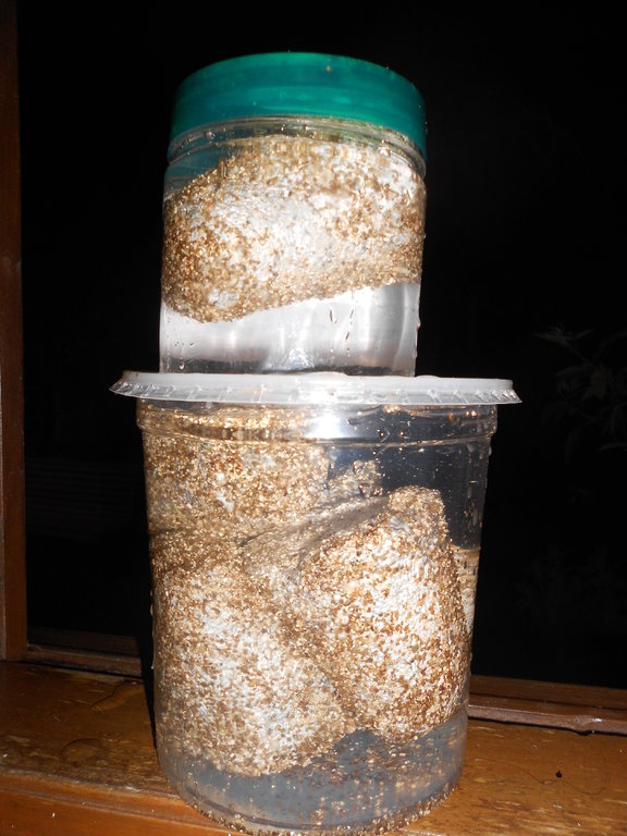 2014-03-26 22.42.08.jpg