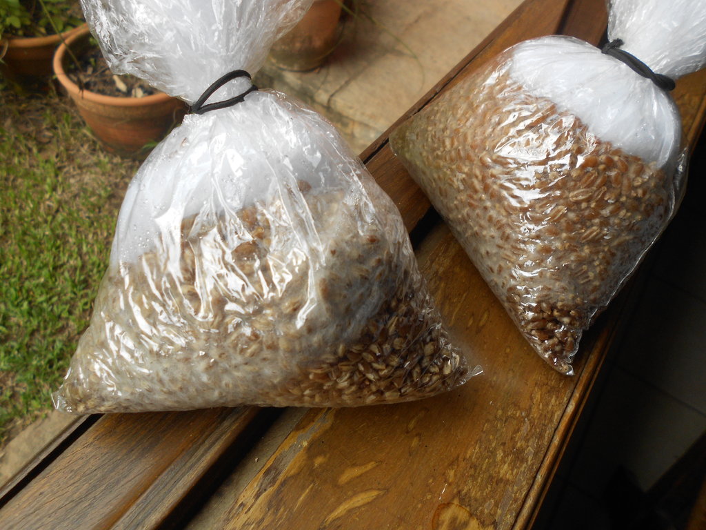 2014-03-29 11.15.09.jpg