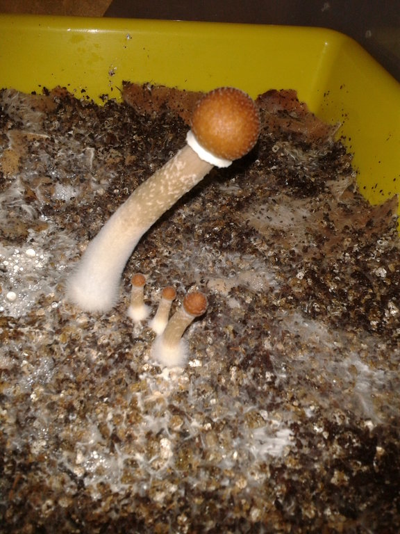 2014-03-30 10.47.04.jpg