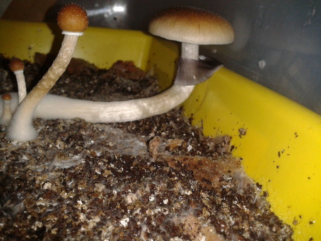 2014-03-31 09.25.53.jpg