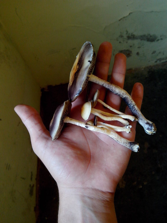 2014-04-01 13.23.58.jpg