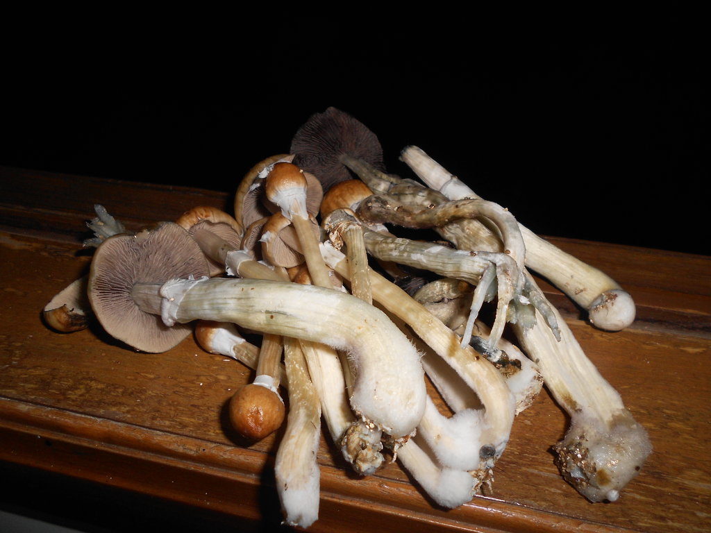 2014-04-06 22.31.39.jpg