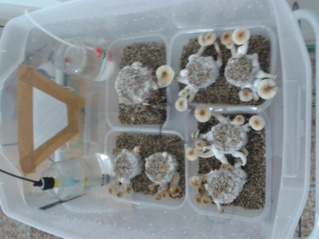 2014-04-17 20.08.00.jpg