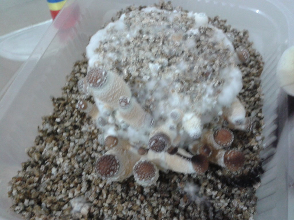 2014-04-17 20.08.30.jpg