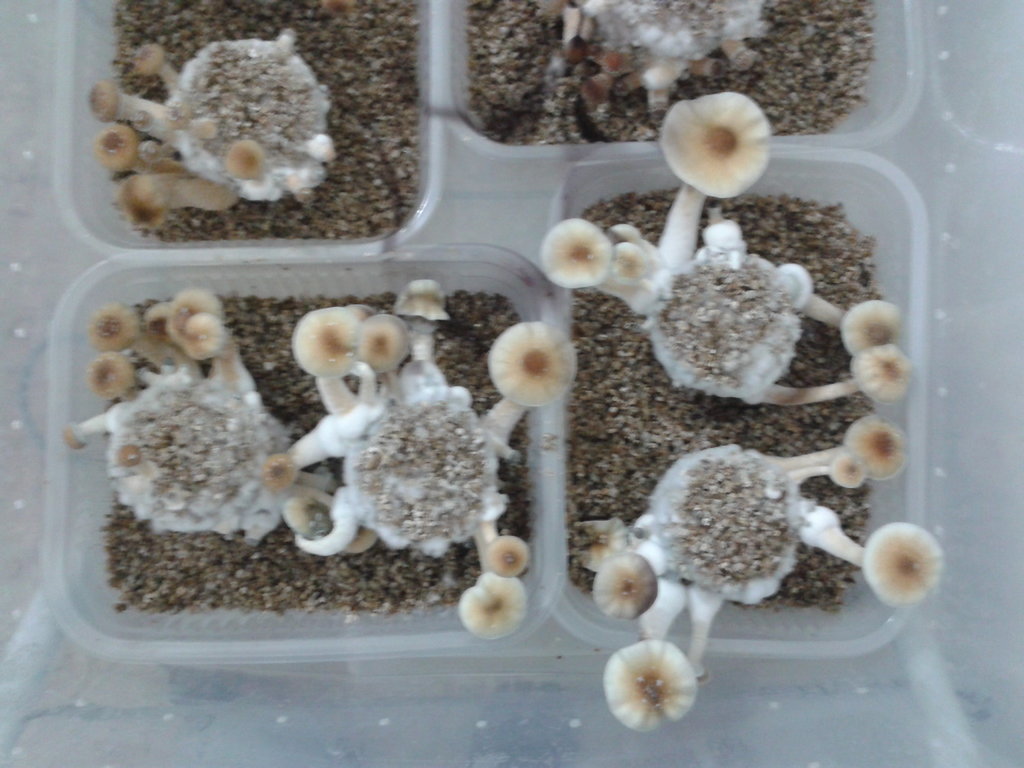 2014-04-17 20.09.14.jpg