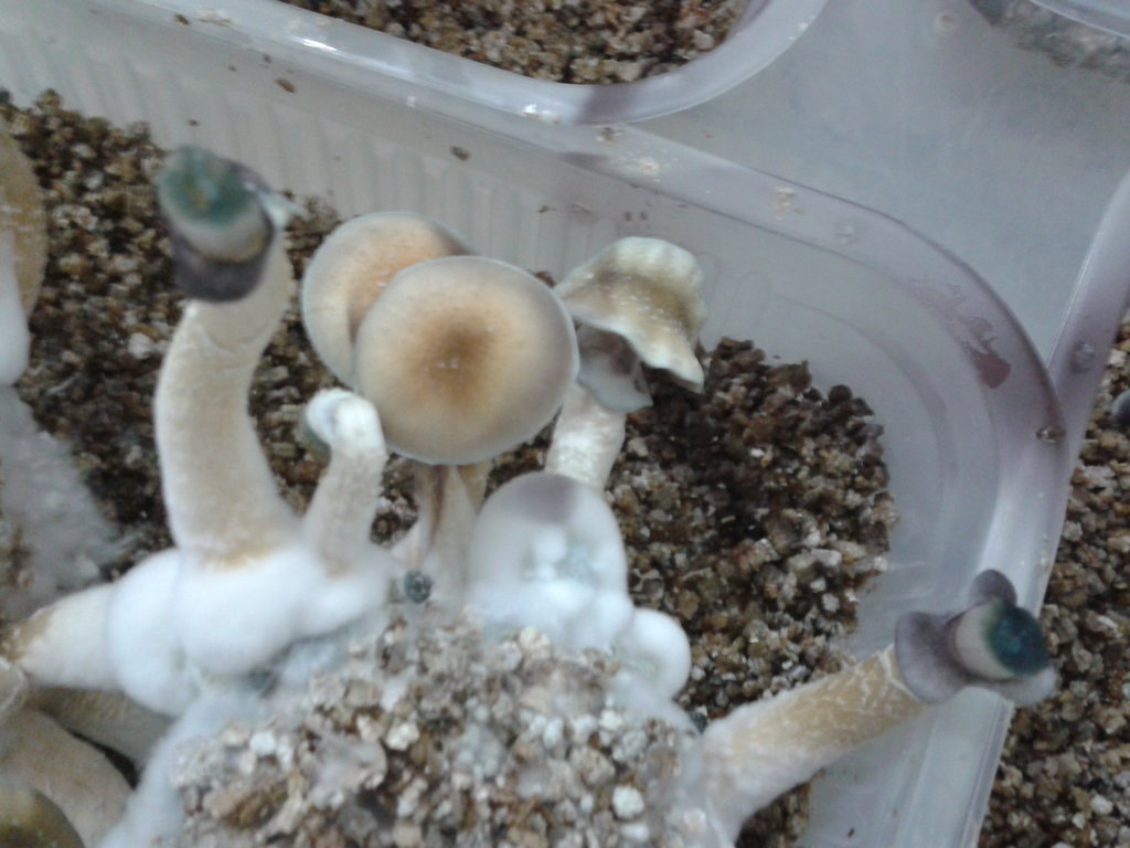 2014-04-17 20.18.14.jpg