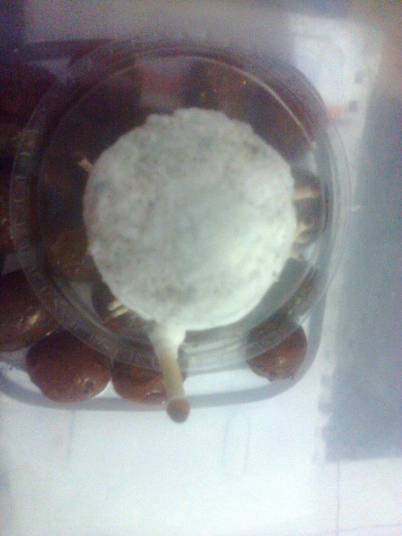 2016-03-02 18.48.13-1.jpeg