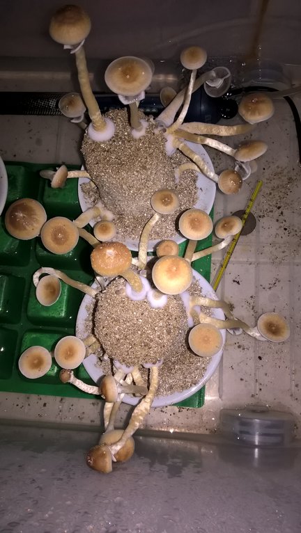 2016-04-26 08.42.51.jpg