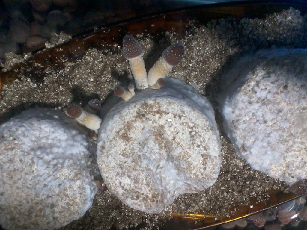 2016-05-29 11.25.23.jpg