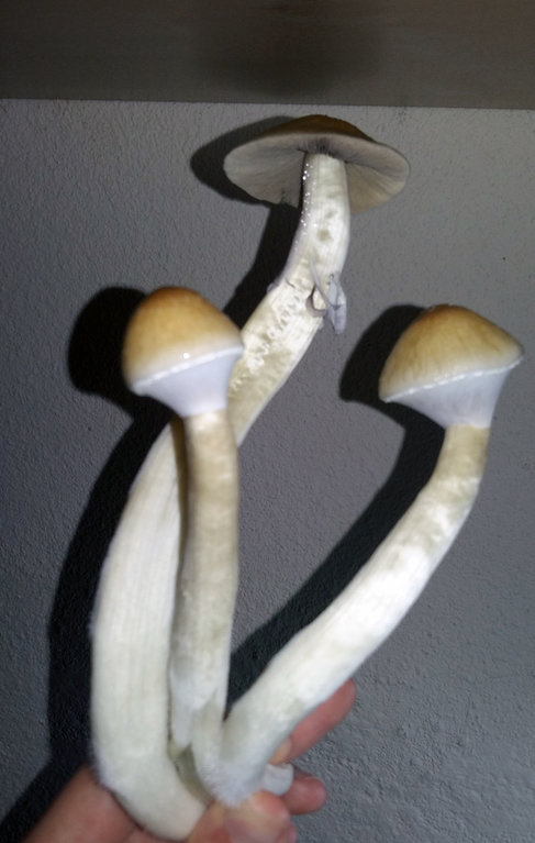 20160516_140159.jpg