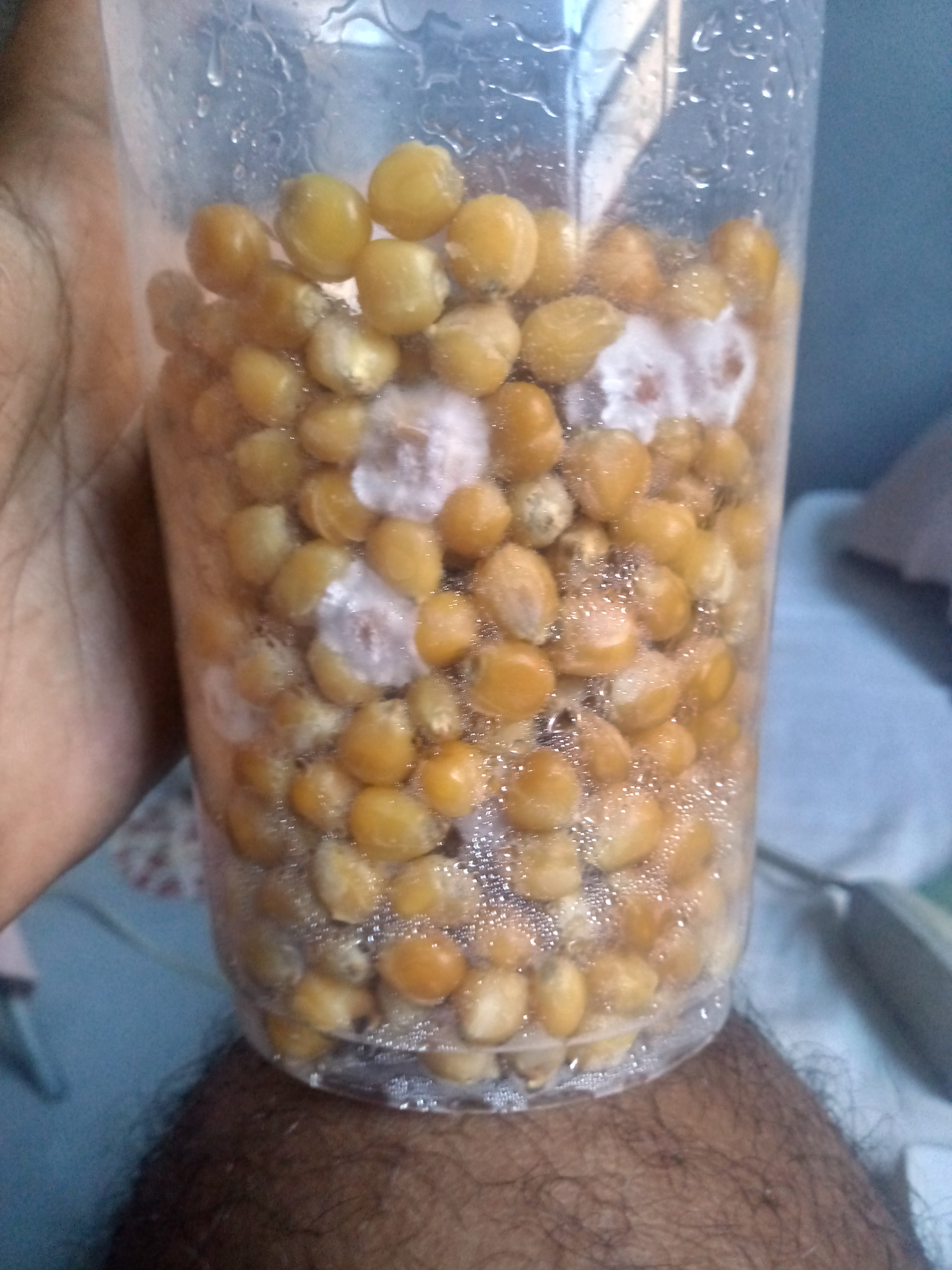 2019-08-05 14.28.24.jpg