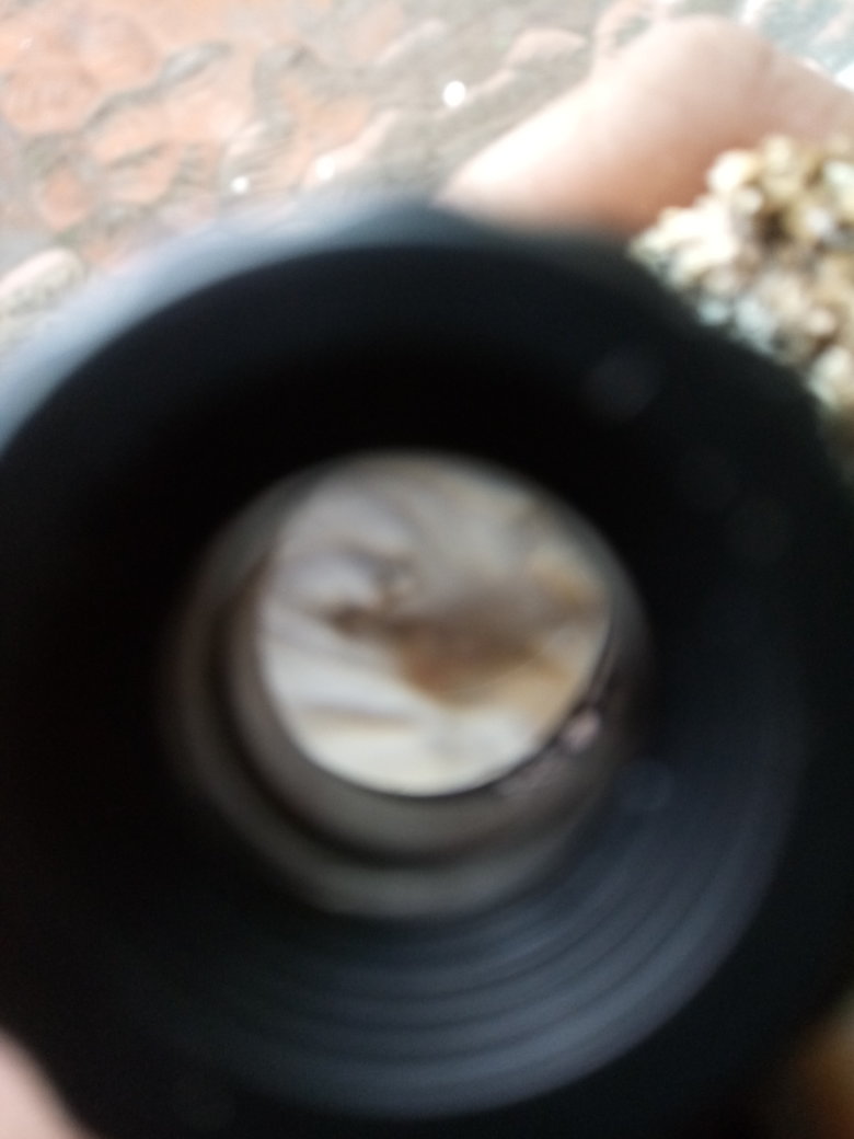 20190309_163538.jpg