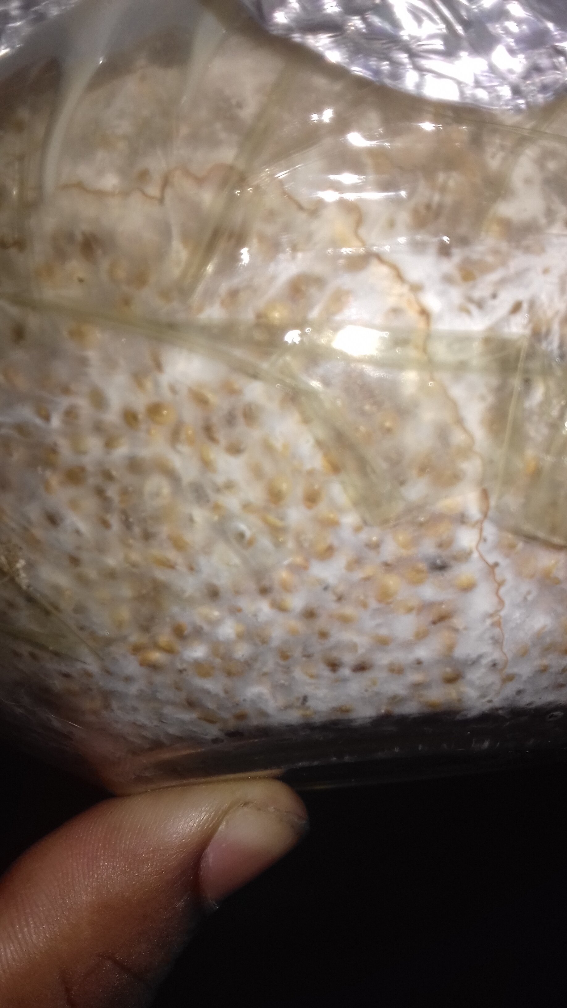 20191229_064130.jpg