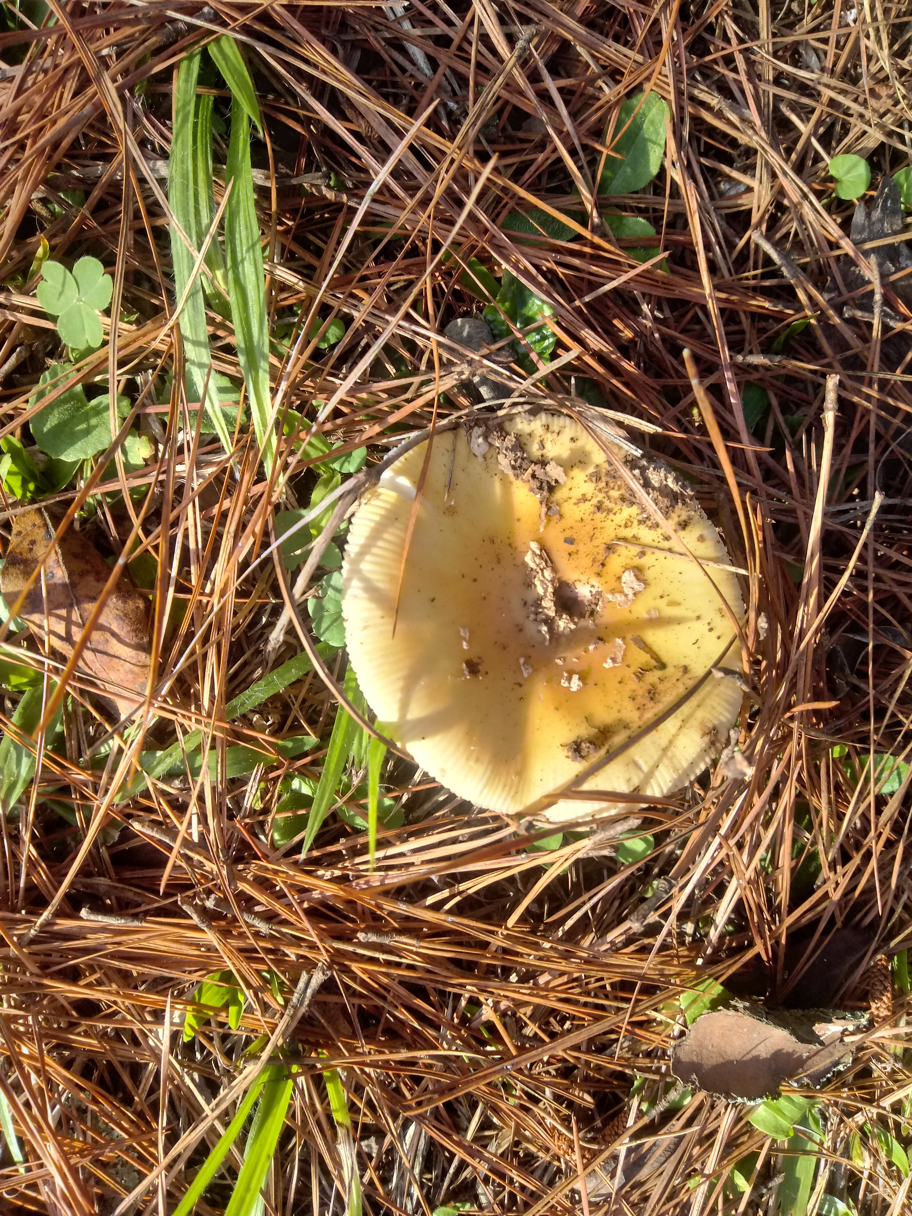 20210620_162124_HDR.jpg