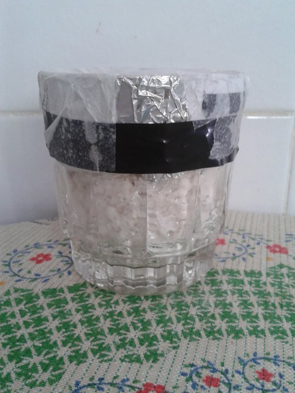 62c - sem crosta.jpg