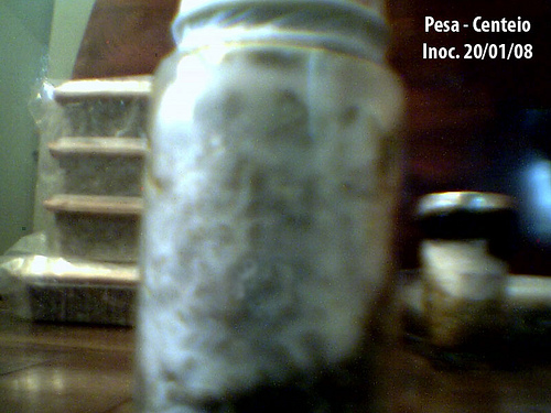 afarm3.static.flickr.com_2316_2255227201_e16452d069.jpg