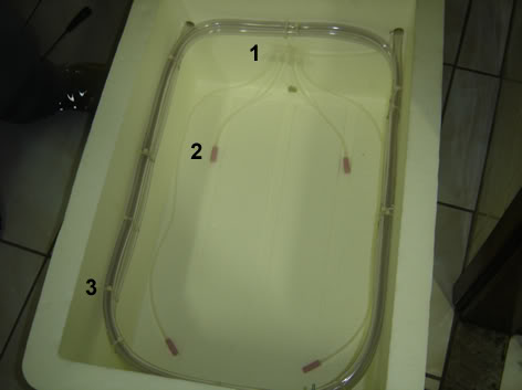 ai210.photobucket.com_albums_bb130_mucosa_Terrario001.jpg