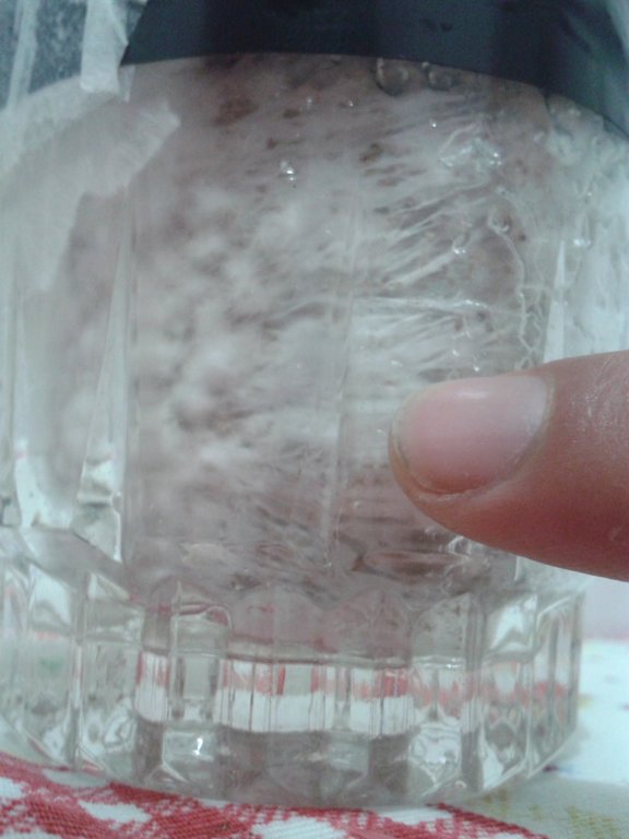 bolo 2 contaminação f.jpg