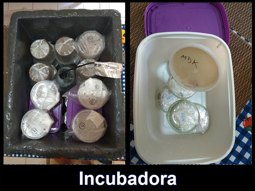 caixa-isopor-incubadora_02.jpg