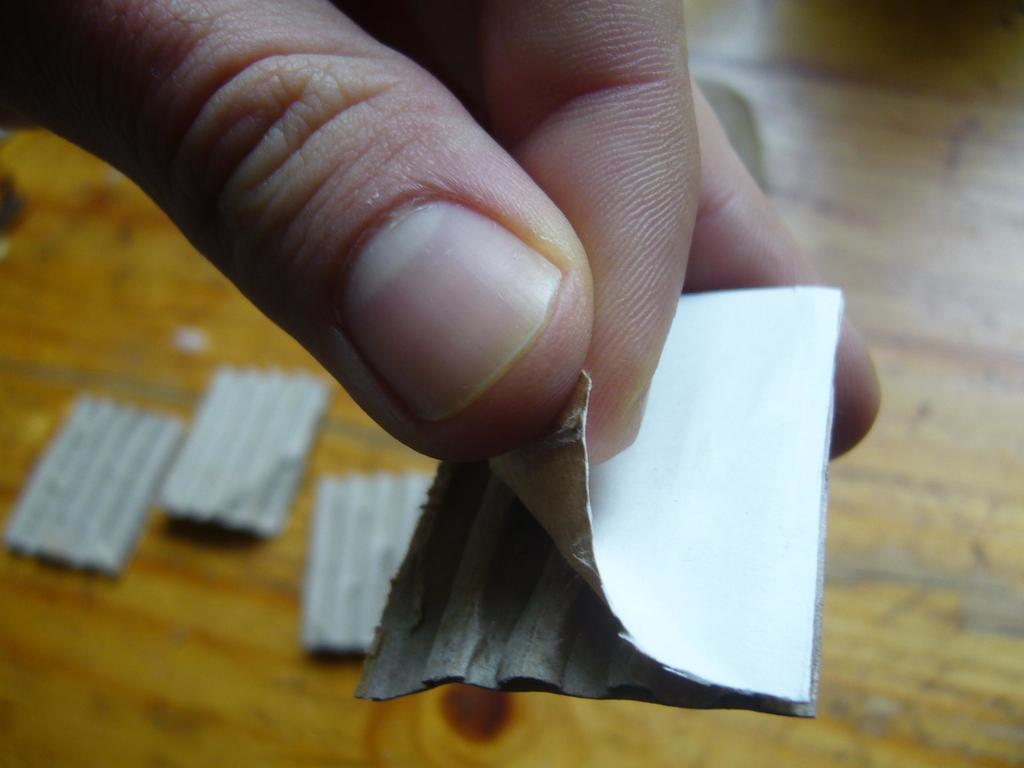capa de papelao.JPG