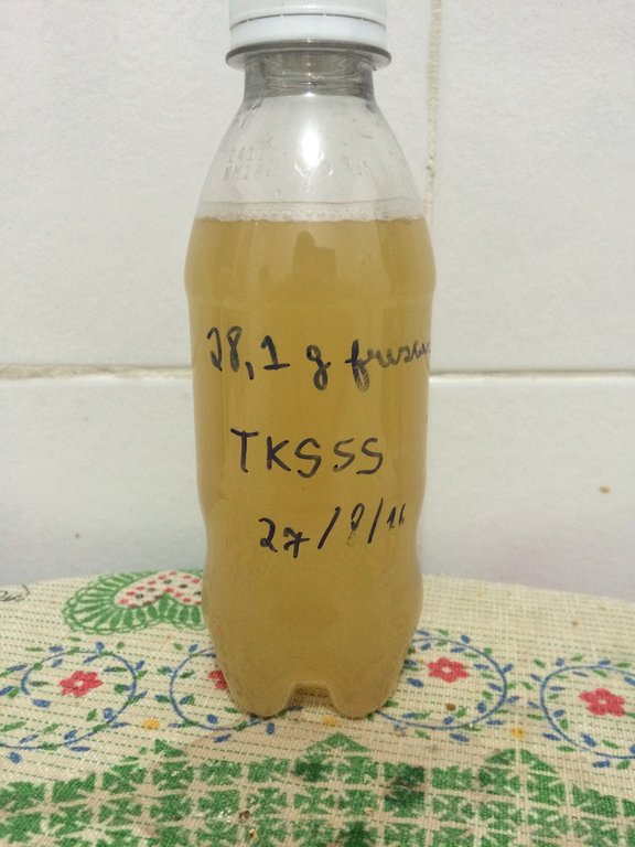 chá preparado e pro congelador.JPG