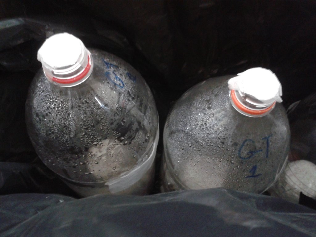 colocação de micropore.jpg