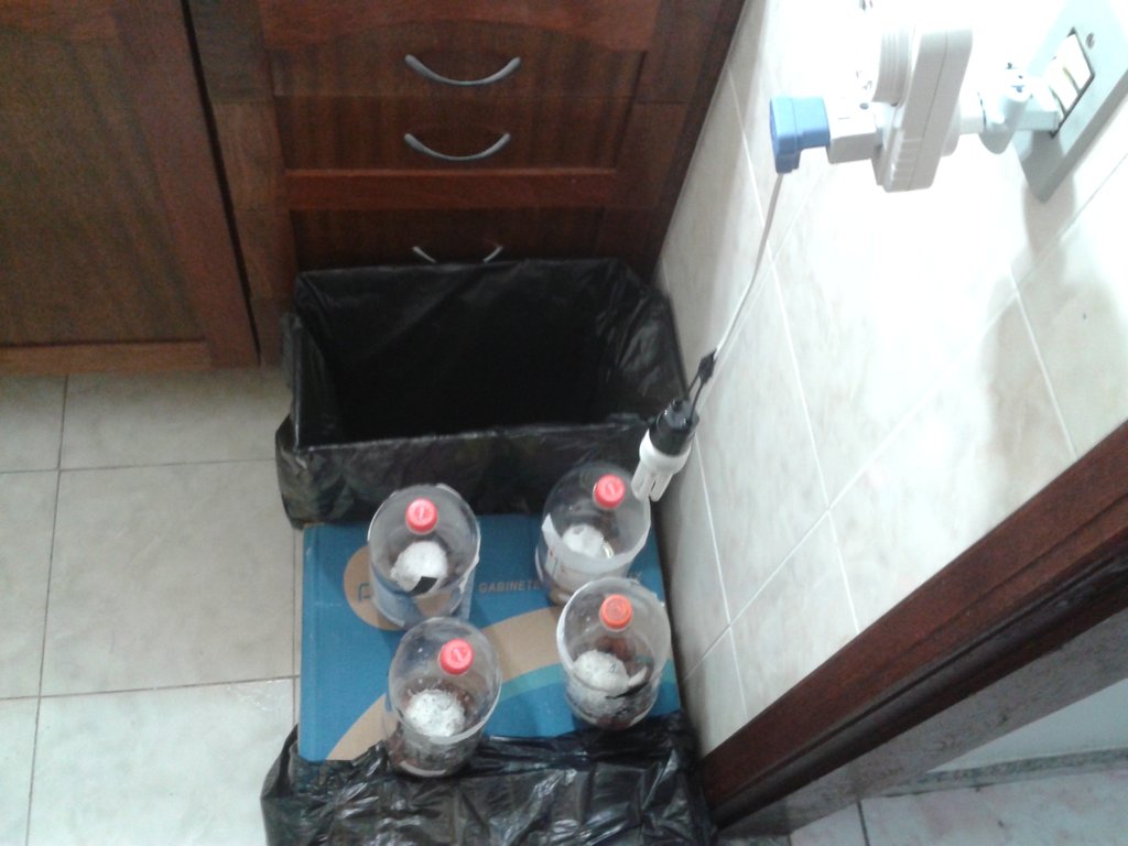 configuração geral da área dos terrários.jpg