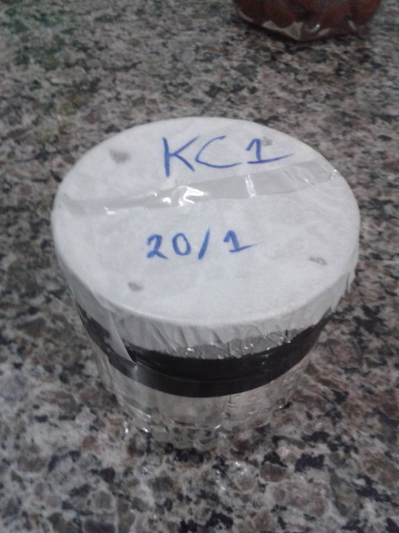 contaminações enterradas 1 - close copo KC#1 contaminado.jpg