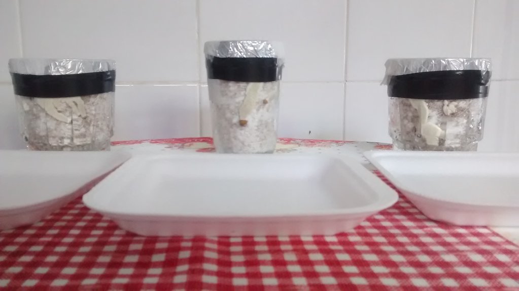 copos antes de aniversariar 2.jpg