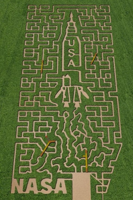 corn-maze-2.jpg
