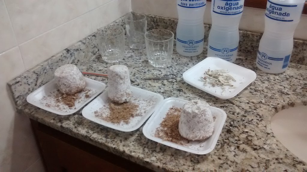 depois de aniversariar.jpg