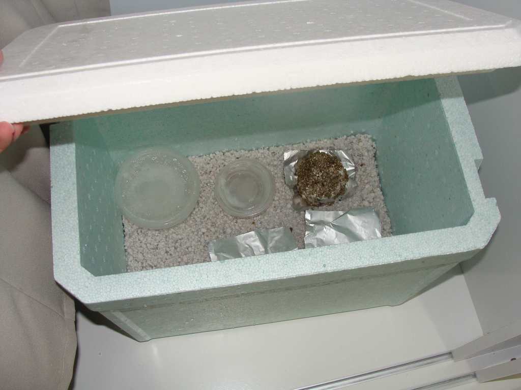 DSC00427.JPG