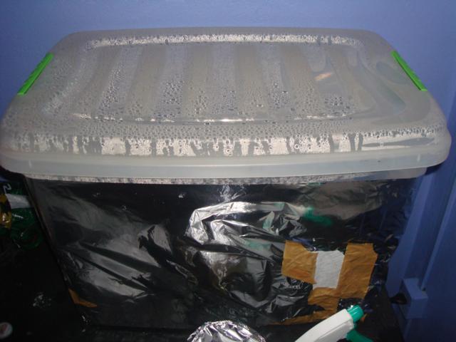 DSC00482_640x480.jpg