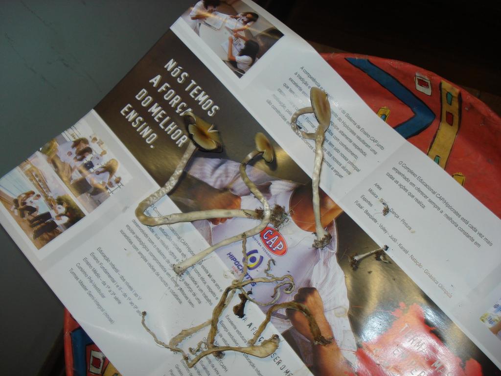 DSC01108.JPG