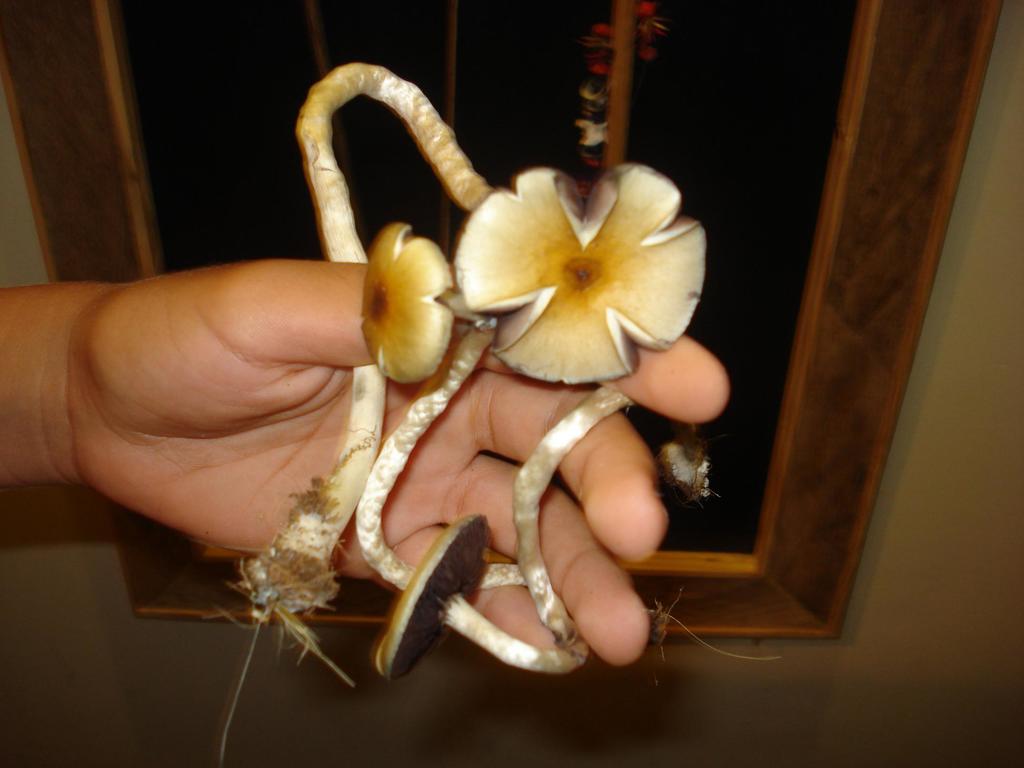 DSC01110.JPG