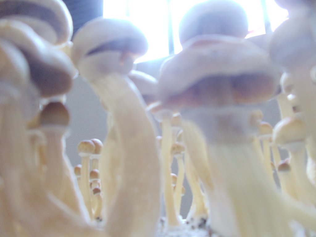 DSC01257.JPG