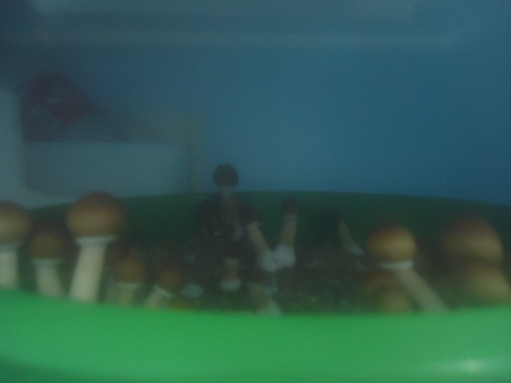 DSC01307.JPG