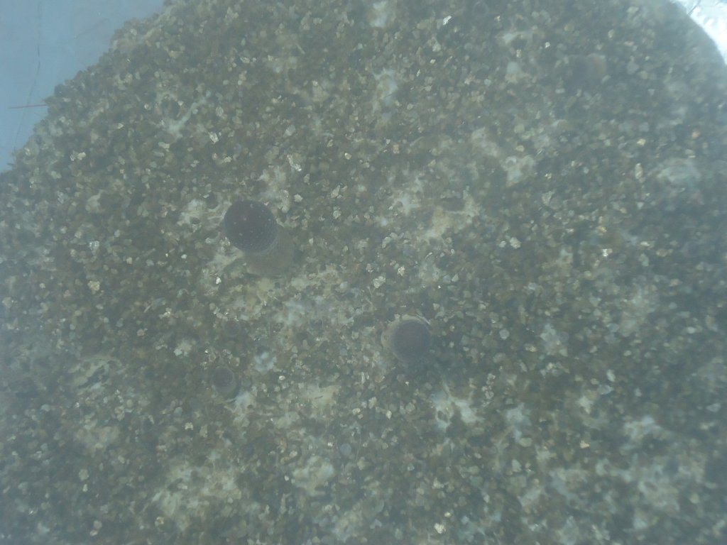 DSC01672.JPG