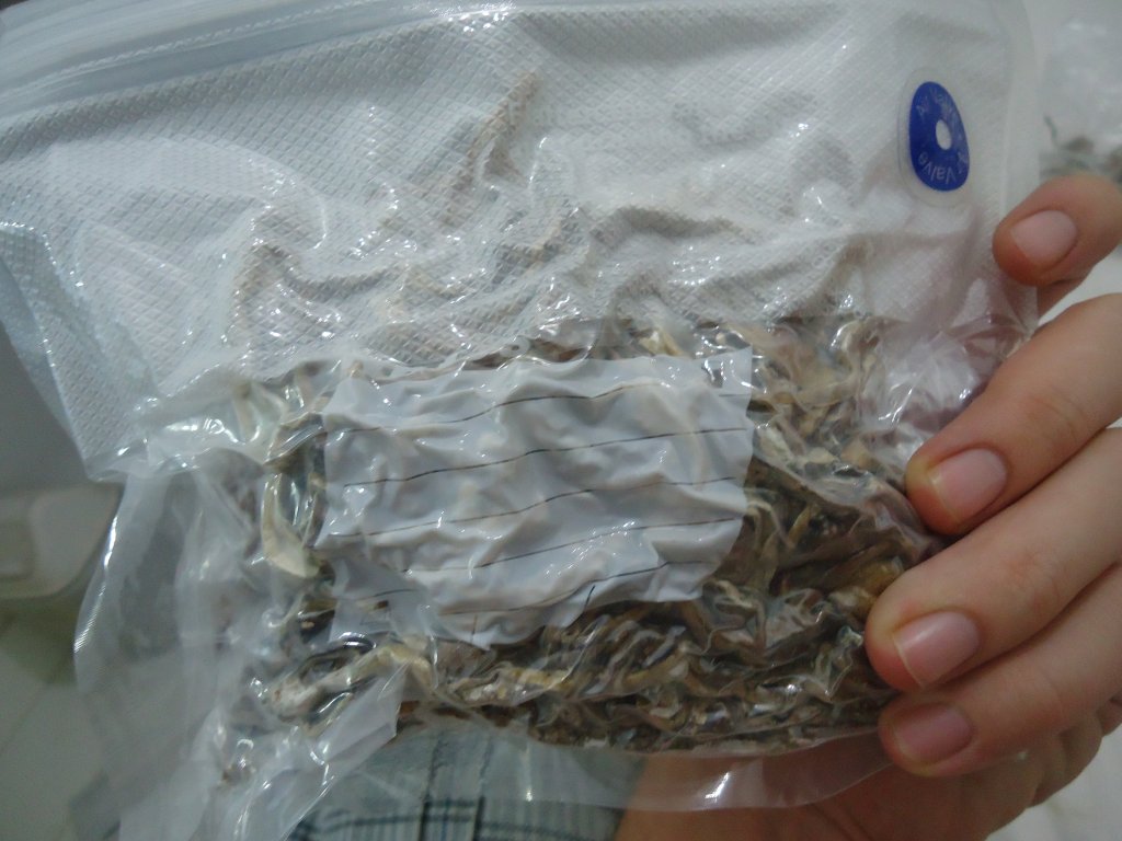 DSC01688.JPG