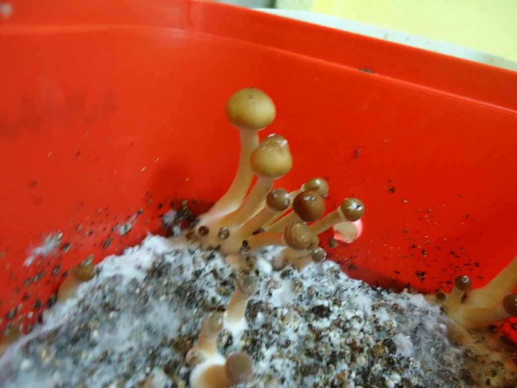 DSC01953.JPG