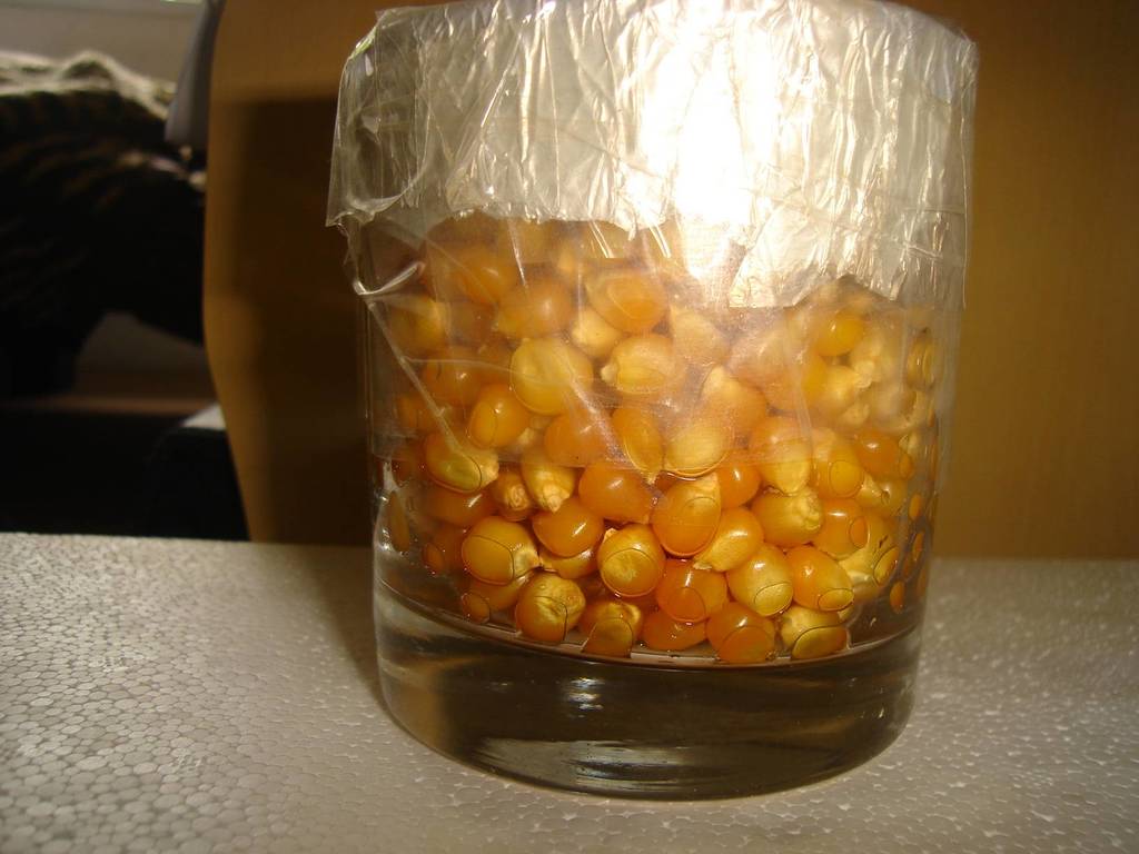 dsc01965.jpg